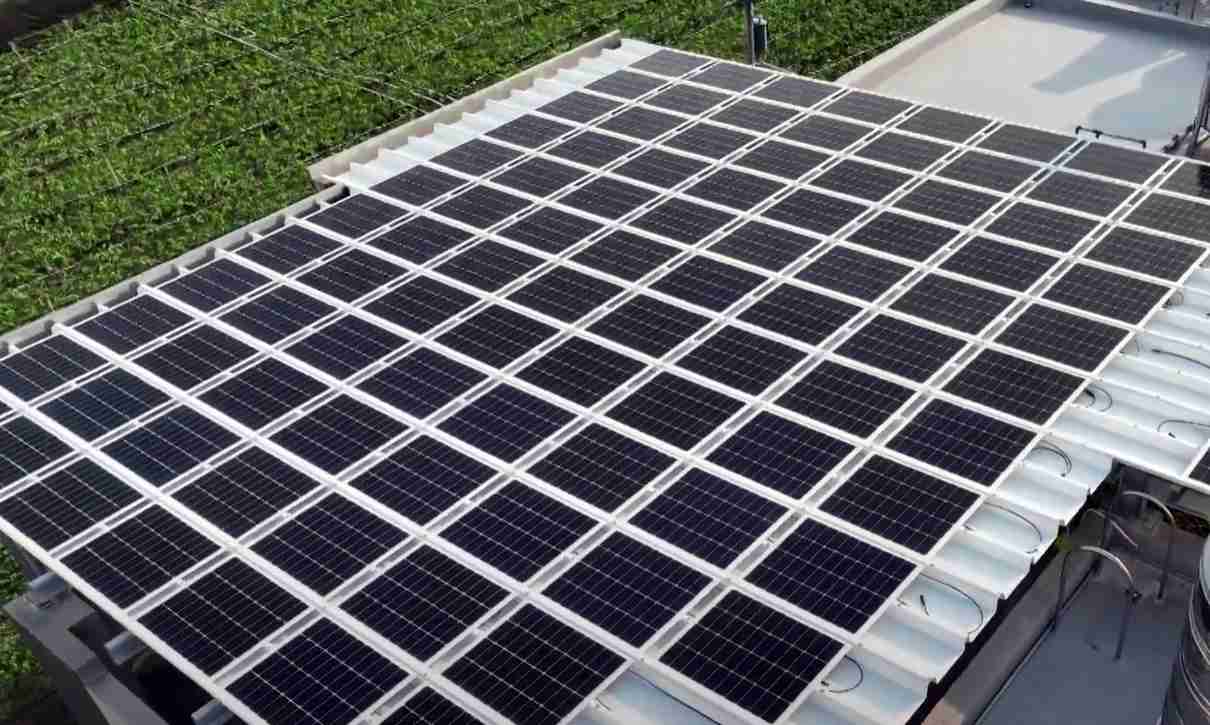 OBPaySunSteel光电浪板升级双玻结构，，以提升机械负载强度及气候耐候度，，，，可广泛运用于多元场域